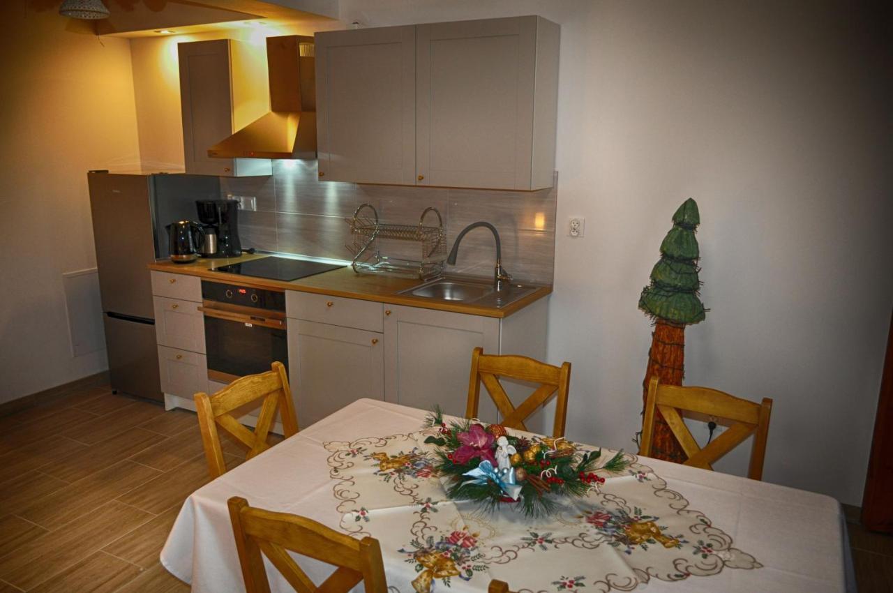 Apartamenty W Dolinie Goscina ドゥシュニキ・ズドルイ エクステリア 写真
